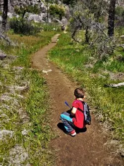 LittleMan and Butterflies on hiking path at Hetch Hetchy Yosemite National Park 1