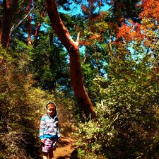 LittleMan-in-Forest-at-Deception-Pass-State-Park-Whidbey-Island-1-e1469689703455-225x225.jpg