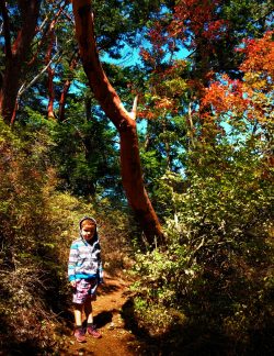 LittleMan in Forest at Deception Pass State Park Whidbey Island 1