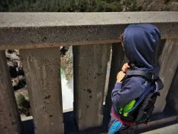 LittleMan watching dam spillway at Hetch Hetchy Yosemite National Park 1