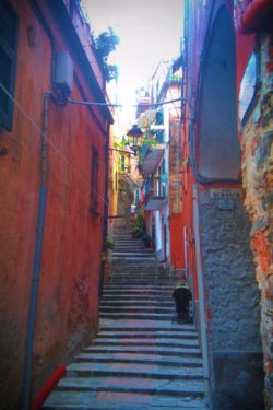 Narrow Stairway in Cinque Terre Italy 1e