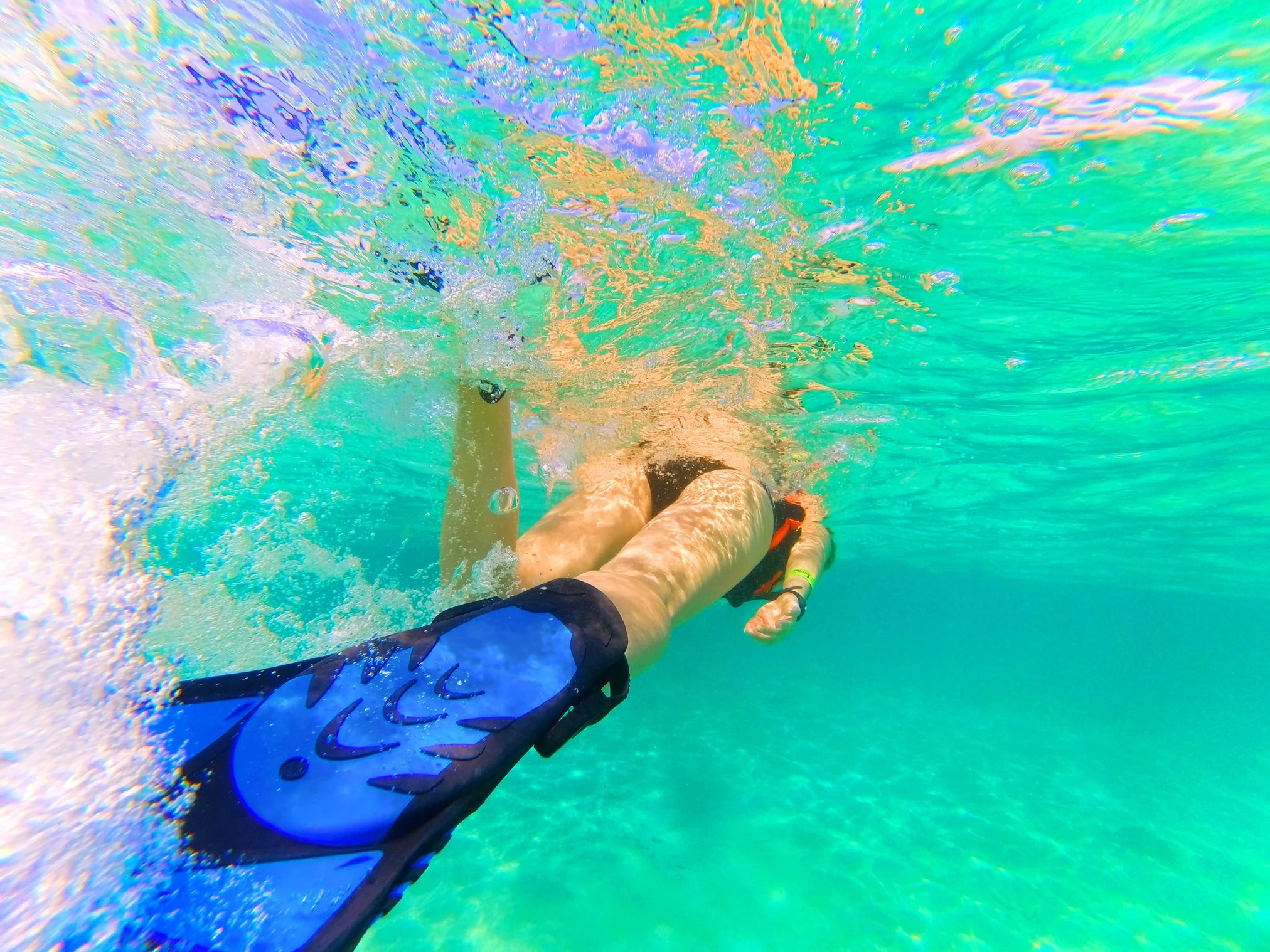 Snorkeling with Sting Ray in Akumal 1