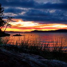 Sunset with beach grass at Washington Park Anacortes 1