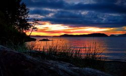 Sunset with beach grass at Washington Park Anacortes 1