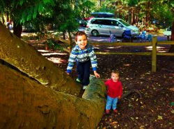 Taylor Kids Camping at Washington Park Anacortes 1
