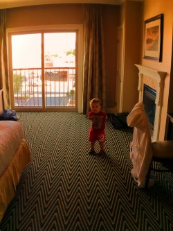 TinyMan in double room at Majestic Inn Anacortes 1e