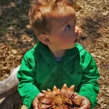TinyMan with huge pinecone at Hetch Hetchy Yosemite National Park 1