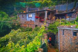 Walking through vineyard homes in Cinque Terre 1e