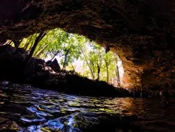 Inside Mouth of Cenotes Dos Ojos Playa del Carmen Mexico 2