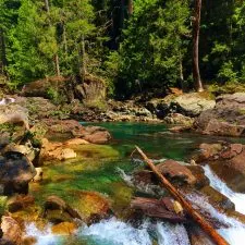 Clear water and colorful rocks at Silver Falls Mt Rainier National Park 4