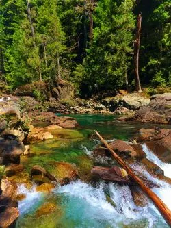 Clear water and colorful rocks at Silver Falls Mt Rainier National Park 4