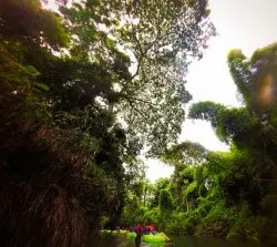 Floating the White River Ocho Rios Jamaica 3