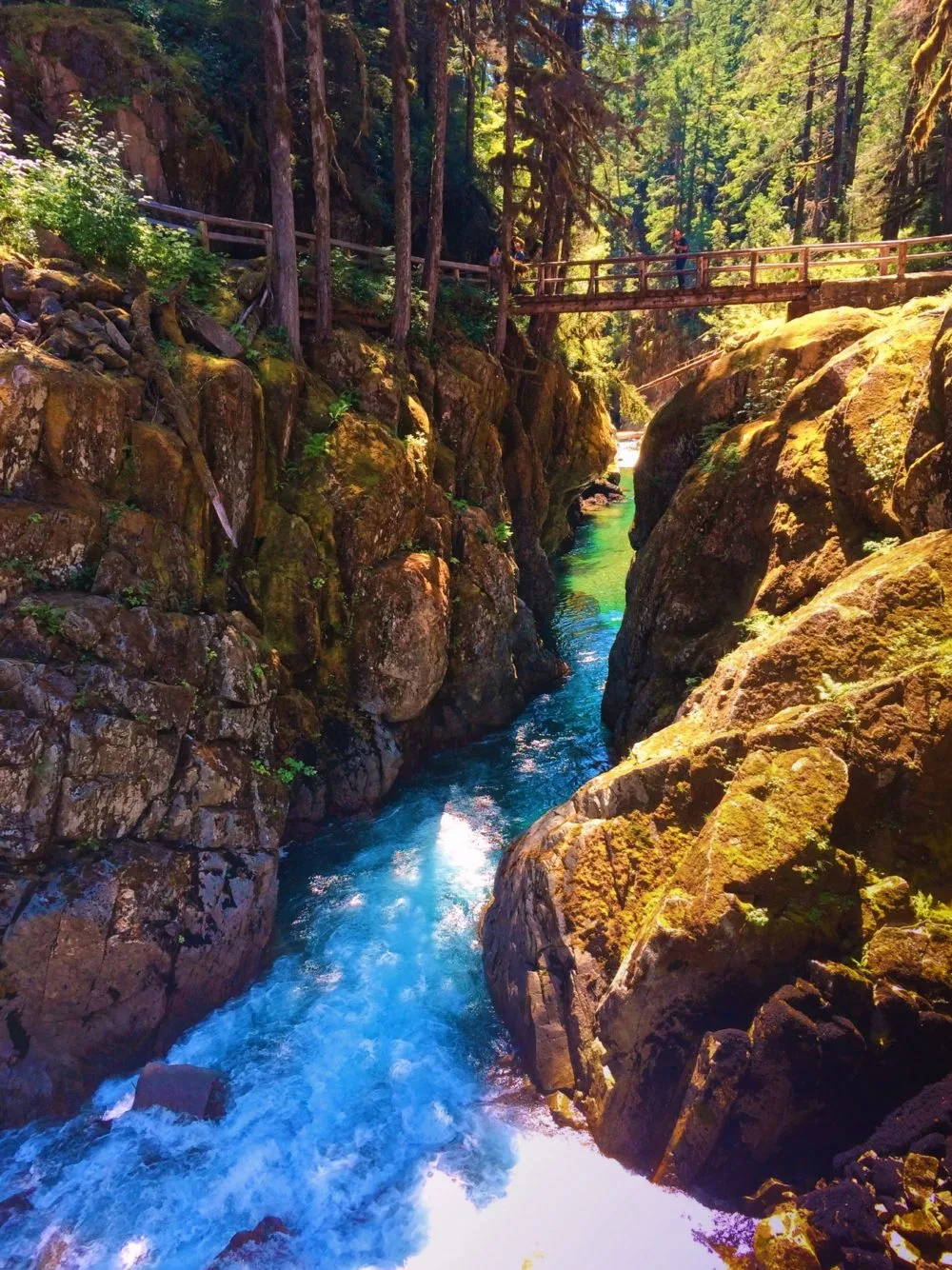 Foot bridge over Ohanapecosh River Silver Falls Mt Rainier National Park 1