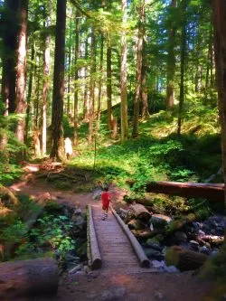 LittleMan on trail at Silver Falls Mt Rainier National Park 2