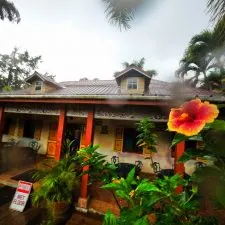 Hibiscus and Monsoon rain at Chukka Tour House Ocho Rios Jamaica 1