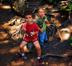 Taylor Kids having picnic at Silver Falls Mt Rainier National Park 1