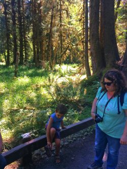 Trippin Twins and Little Man at Hoh Rainforest Olympic National Park 2