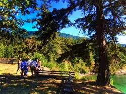 Pretty Fork Destination Dining guests Inn at Ships Bay Orcas Island 1