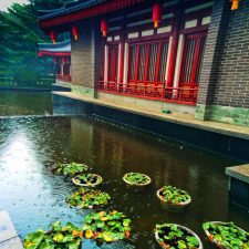 Reflections at Imperial Garden Xian Shaanxi 2