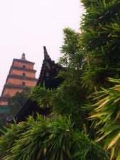 bamboo-and-buddhist-temple-at-giant-wild-goose-pagoda-2