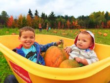 BroPic-2015-Taylor-kids-in-Pumpkin-Patch-Fall-Traditions-6-225x169.jpg