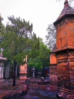 buddhist-temple-at-giant-wild-goose-pagoda-6