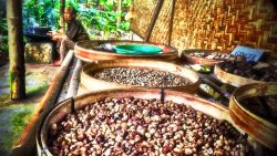 Drying Coffee in ndonesia ADare Photography