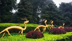 Golden dragons Sculpture at Tang Paradise Xian Imperial Garden 2