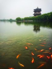 Ladies Hall pagoda at reflecting pond at Tang Paradise Xian Imperial Garden