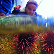 Taylor family at Port Townsend Marine Science Center 5