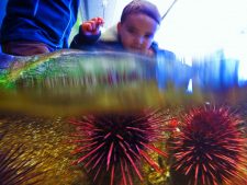Taylor family at Port Townsend Marine Science Center 5