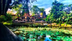 Lily pond in Balindonesia ADare Photography