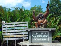 Tanjung Puting National Park Indonesia Tourism