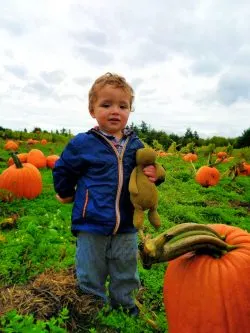 Taylor Family Pumpkin patch Fall Traditions