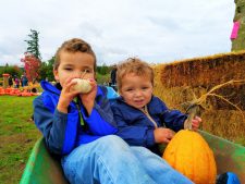 Taylor-kids-in-Pumpkin-Patch-Fall-Traditions-5-225x169.jpg