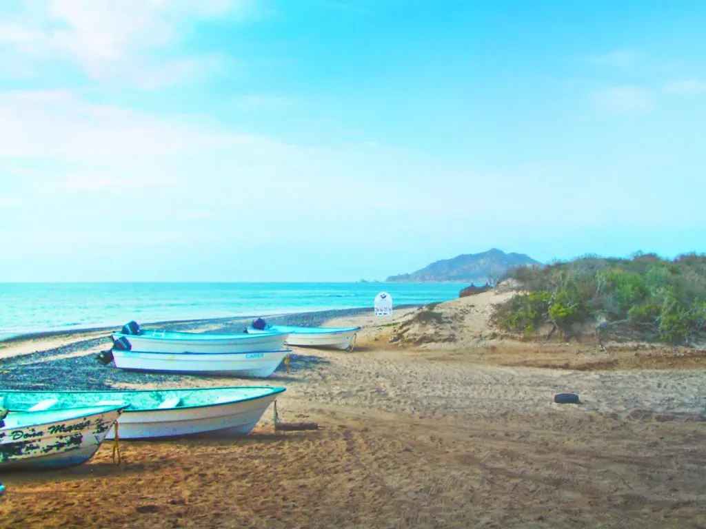 Beach at Cabo Pulmo National Park