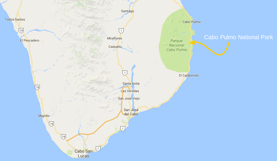 Cabo Pulmo National Park mapq