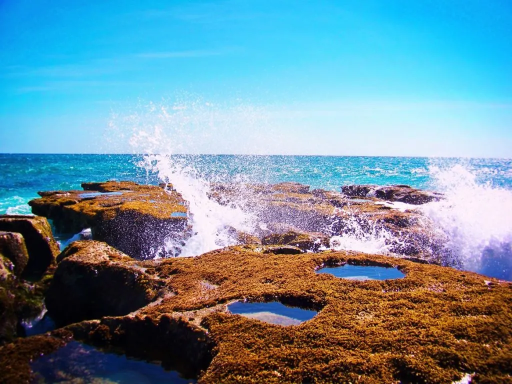 Waves crashing over tide pools at East Cape 1