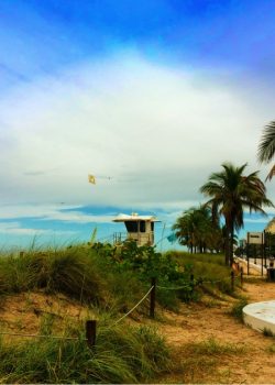 Ft Lauderdale Beach Promenade - vote with your dollars here, a progressive pocket in sunny Florida!