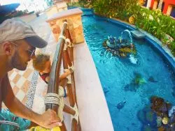 Rob Taylor and son watching turtles at Playa Grande