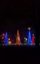 Christmas-Trees-at-Lights-of-Life-Marietta-Georgia-3-141x225.jpg