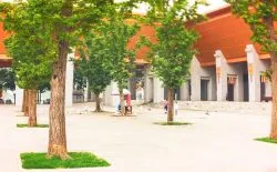 Doves at Famen Temple Baoji China 1