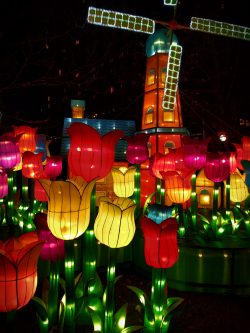 Dutch Windmill and Tulip Lanterns at Chinese Lantern Festival Atlanta 1