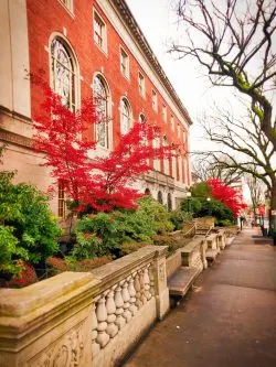 Fall leaves in downtown Portland