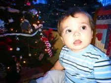 LittleMan and Christmas Tree 2012
