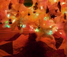 Mama Cat and Fully Decorated white fake Christmas Tree 2009