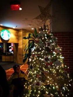 Pediatric Brain Tumor Christmas Tree Atlanta Festival of Trees 1