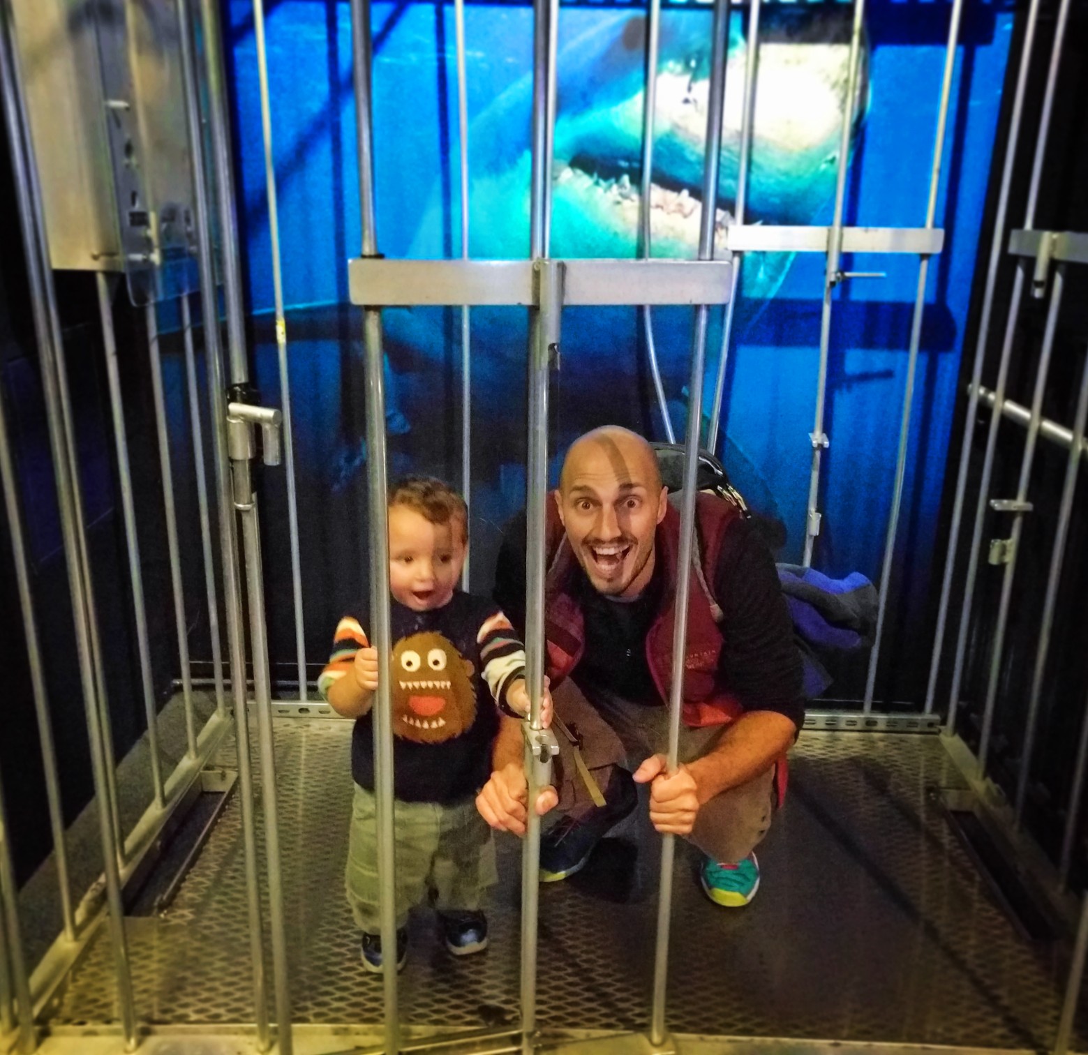 Rob Taylor and son in Shark Cage Tennessee Aquarium 1