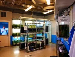 Species rehabilitation lab at Tennessee Aquarium 1