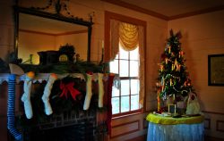 Stately Oaks Christmas 1